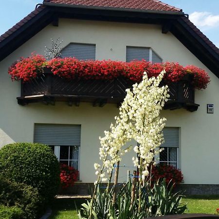 Studio Orchidee Weissig  Zewnętrze zdjęcie