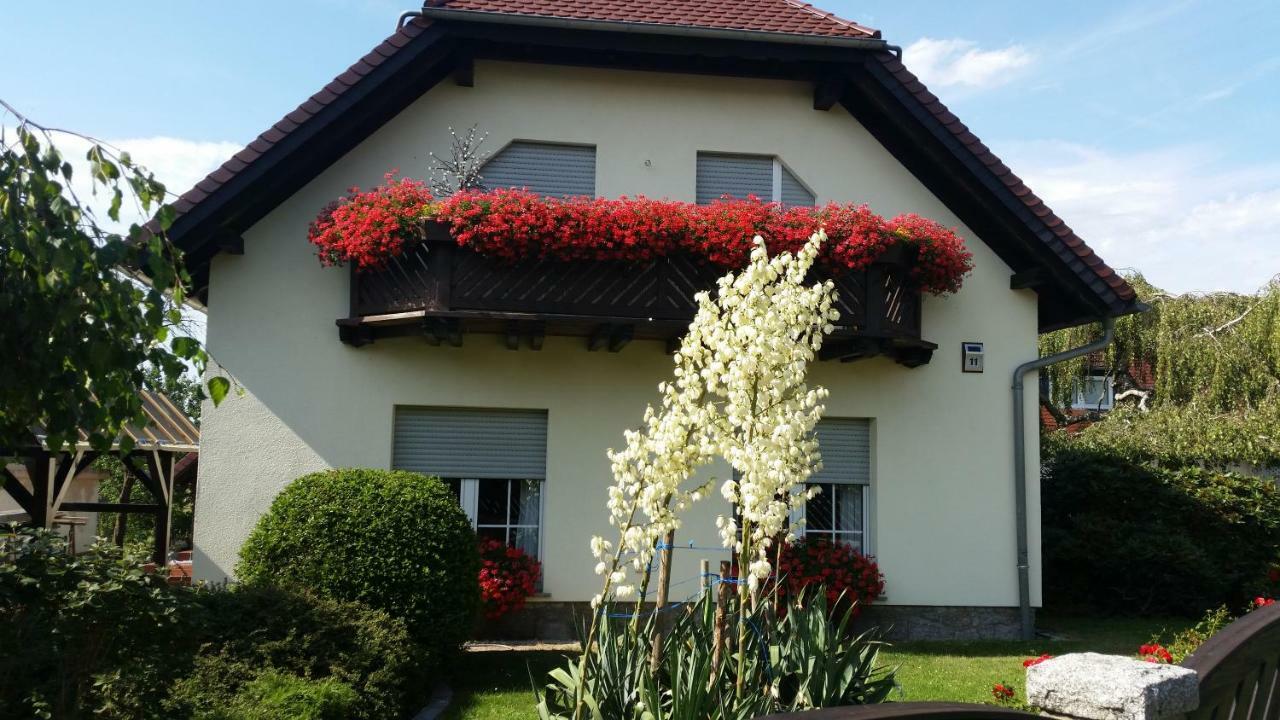 Studio Orchidee Weissig  Zewnętrze zdjęcie